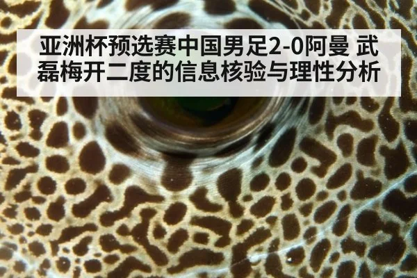 亚洲杯预选赛中国男足2-0阿曼 武磊梅开二度的信息核验与理性分析
